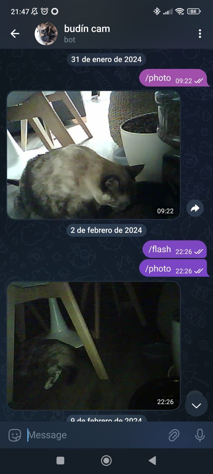 Telegram bot screenshots